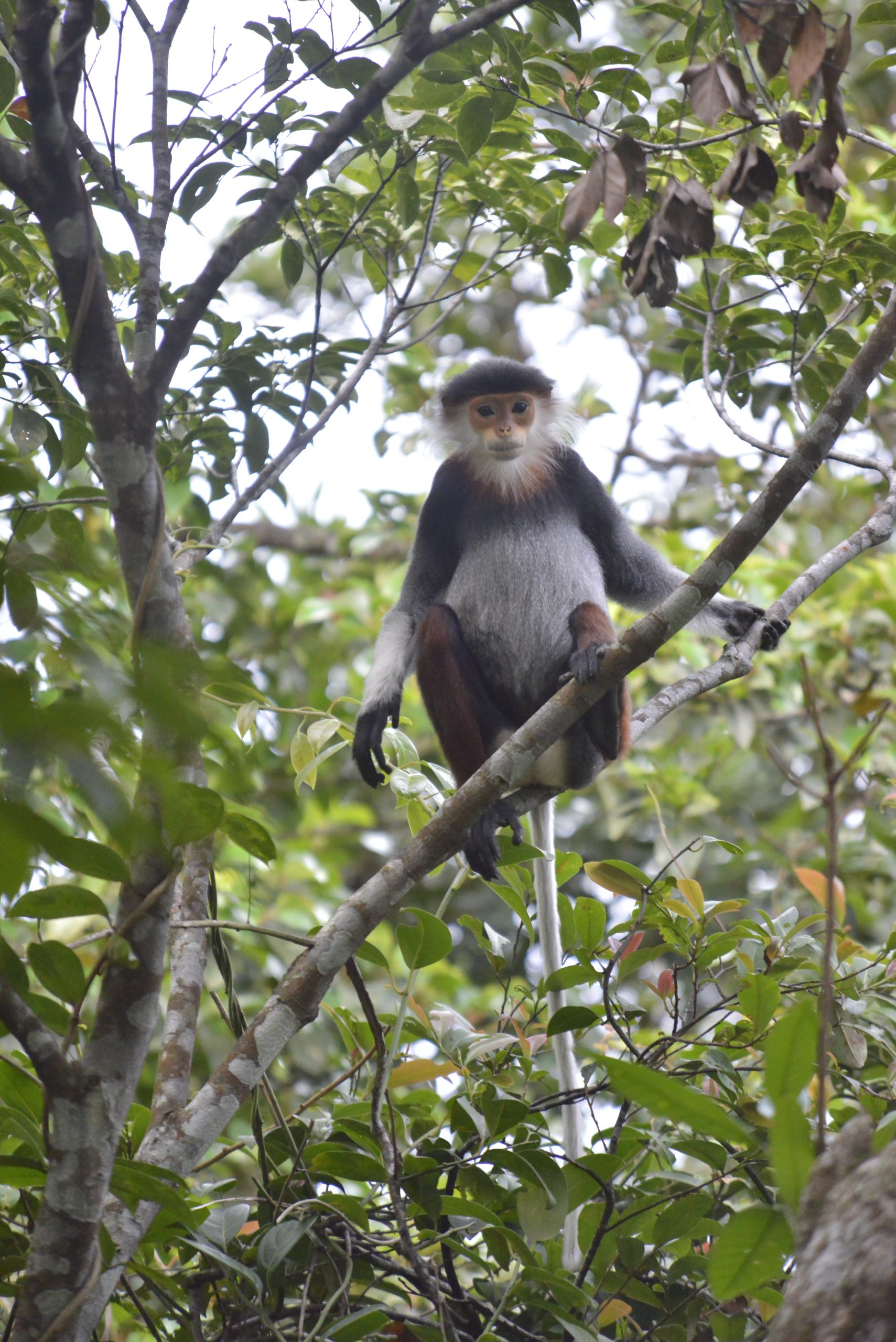 Carbon credit project image 3