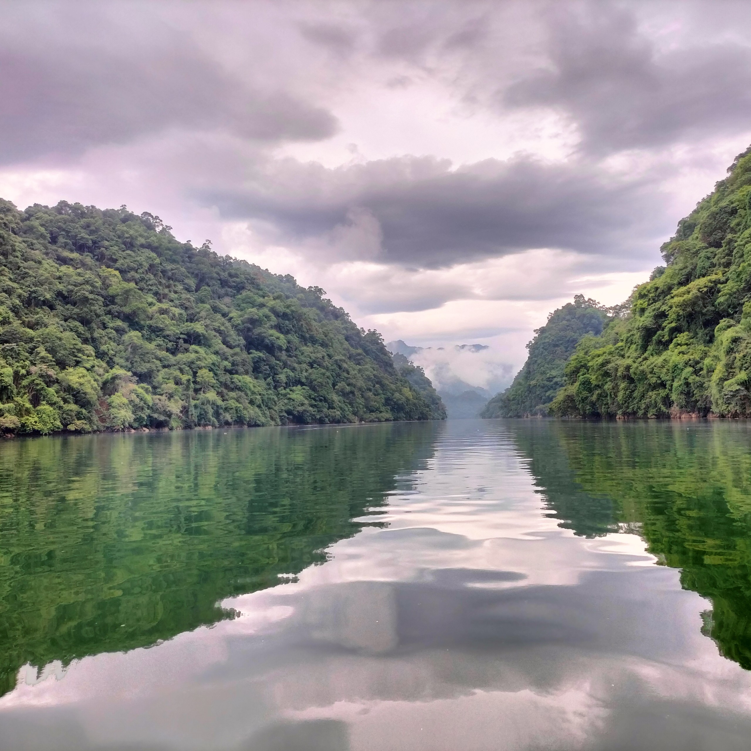 Carbon credit project image 1