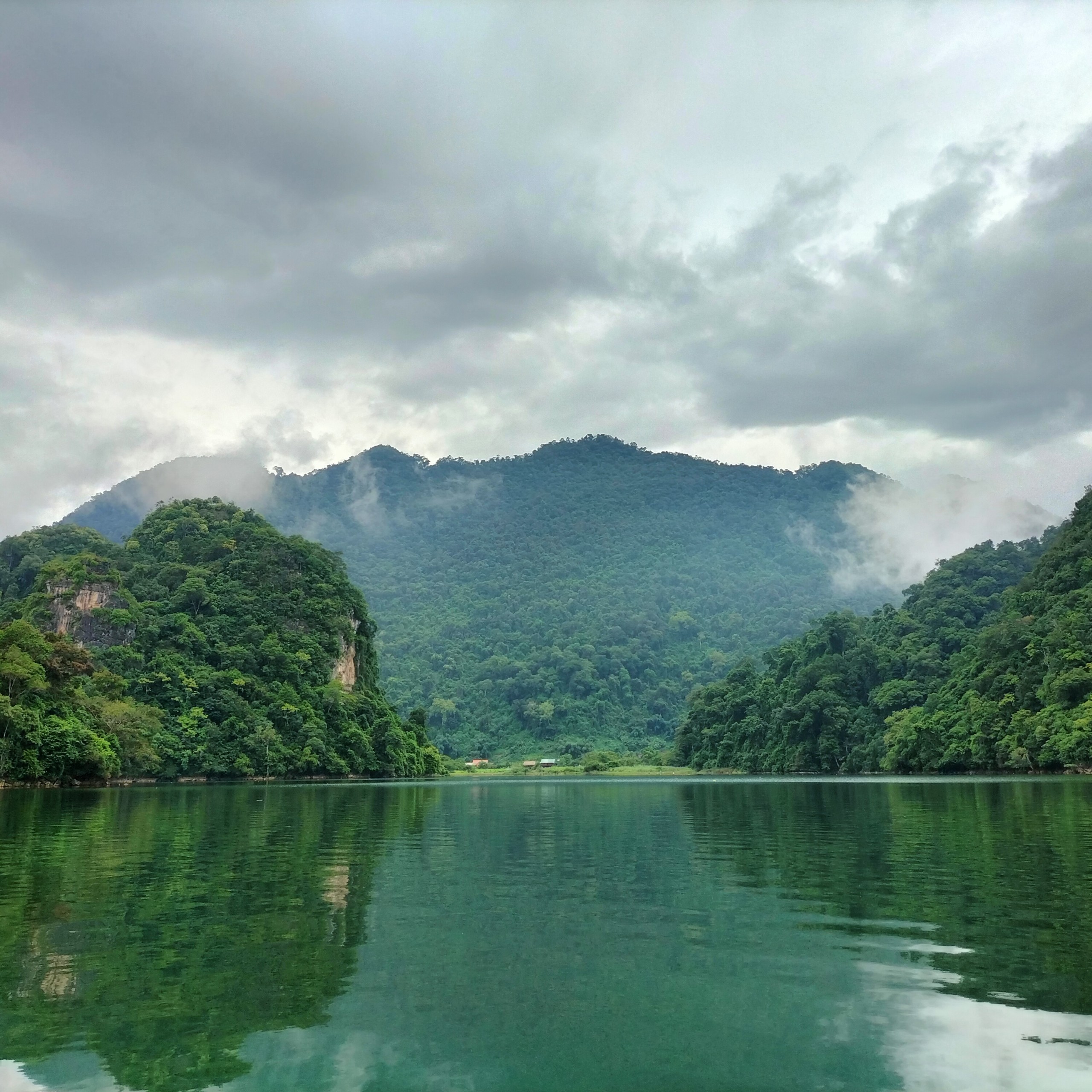 Carbon credit project image 2