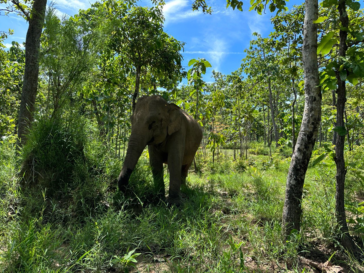 Carbon credit project image 4