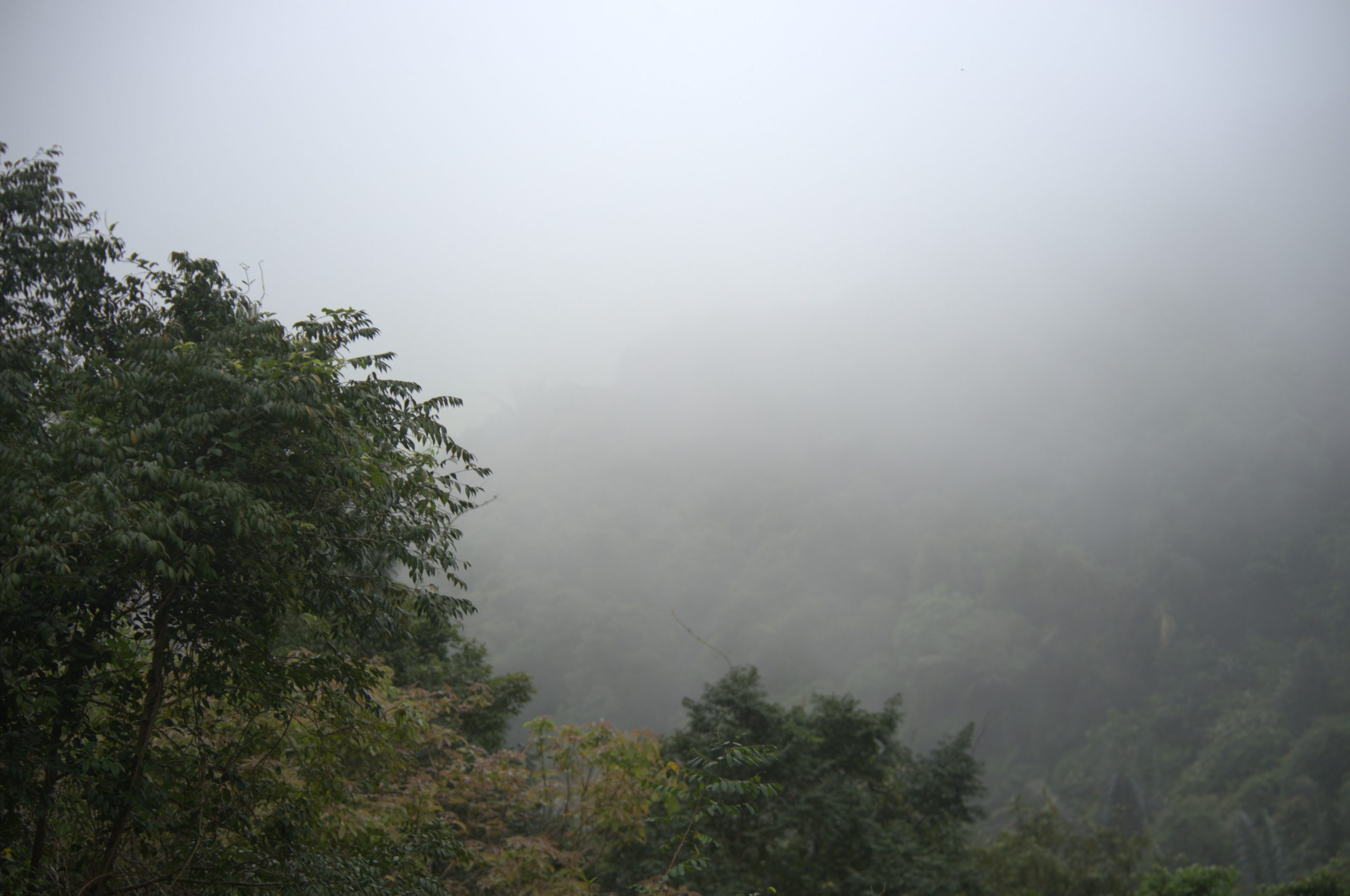 Mountains and forests within the management area of Deo Ca Special-Use Forest